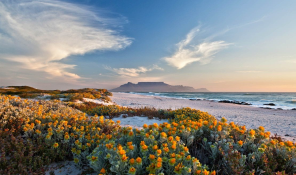 Western Cape - West Coast